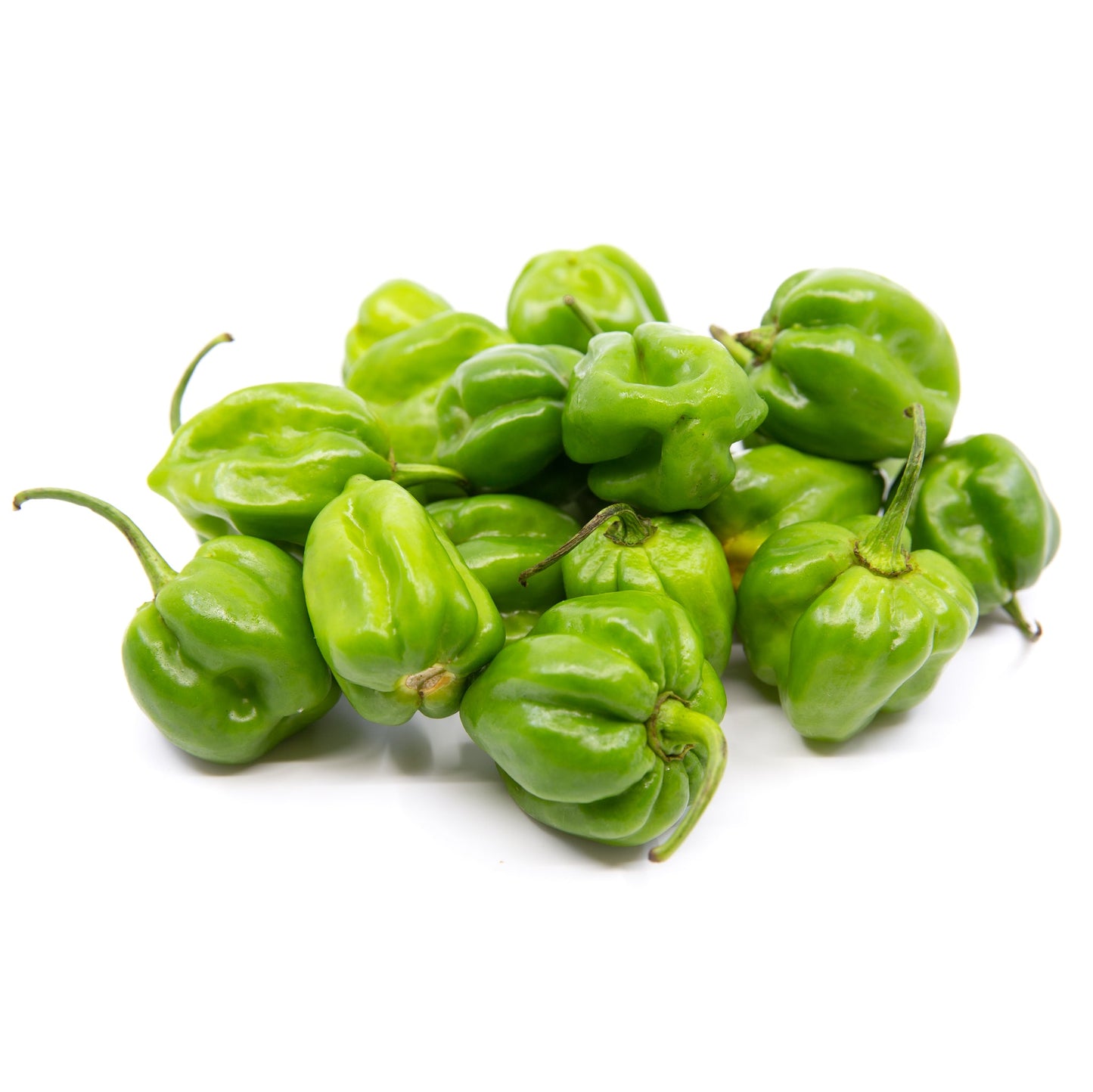 Habaneto Pepper (Dominican Republic)