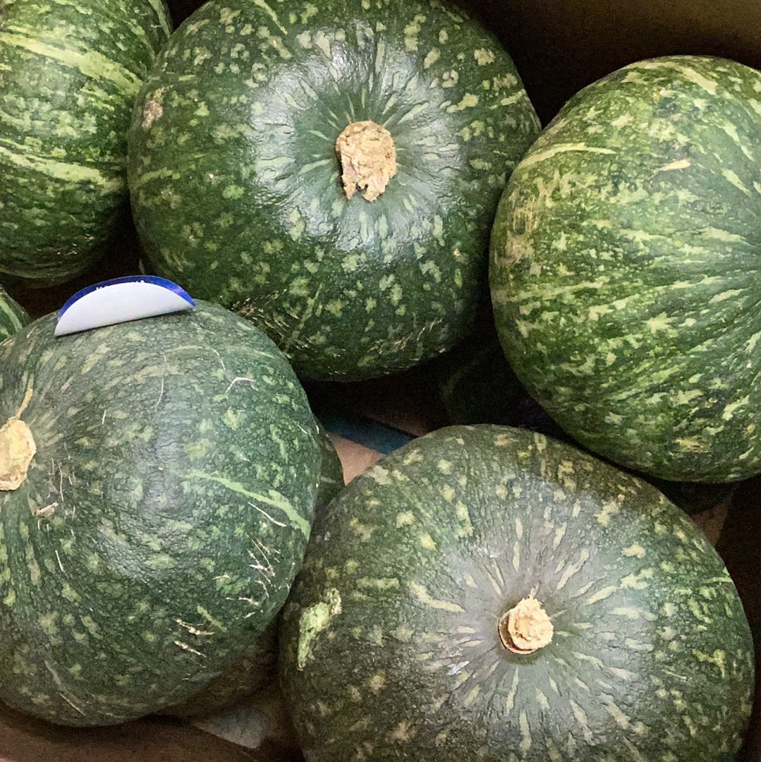 French Pumpkin Kabocha (Green) Pumkin (singles)