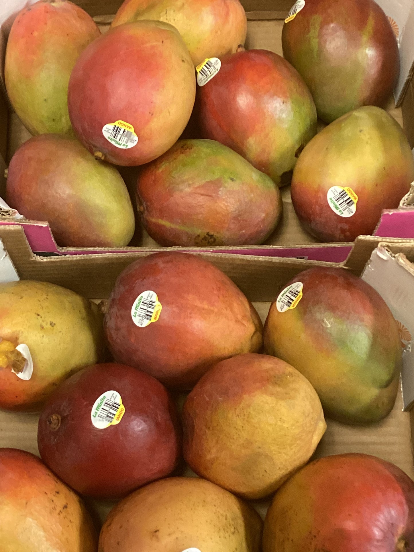 Mango