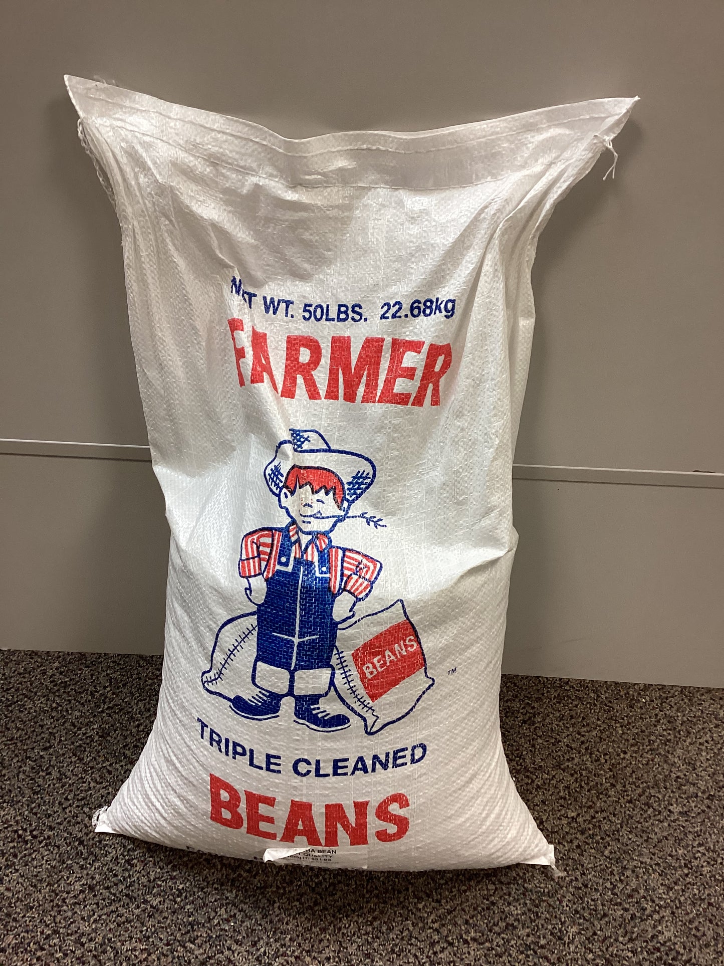 Mayocoba beans 50lb farmer triple cleaned beans